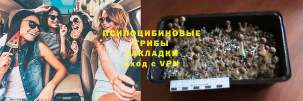 кокс Алексин