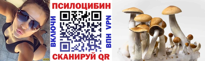 shop какой сайт цена Сенгилей Галлюциногенные грибы мухоморы