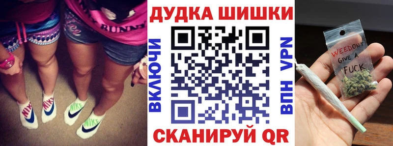 Конопля сатива  Сенгилей 